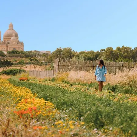 Grazzja Traditional Daire